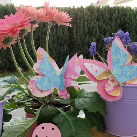 3-D-Karten selber basteln Schmetterlinge